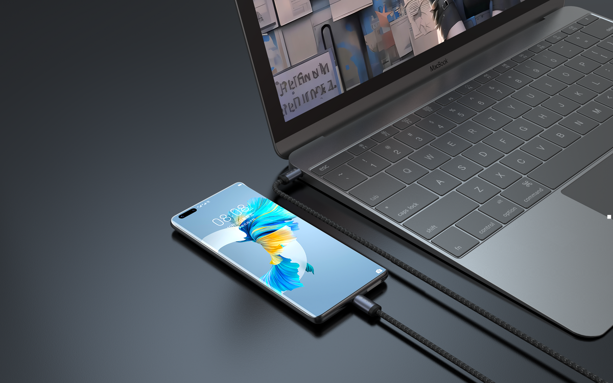 DEVIA Gracious Series USB-C to USB-C PD 60W Fast Cable